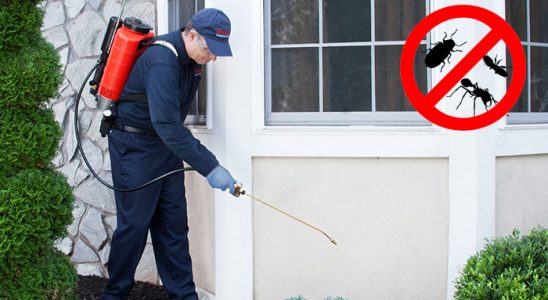 Gümüşhacıköy Dezenfeksiyon böcek ilaçlama ve haşere kontrolü — ilaclama-tr.com
